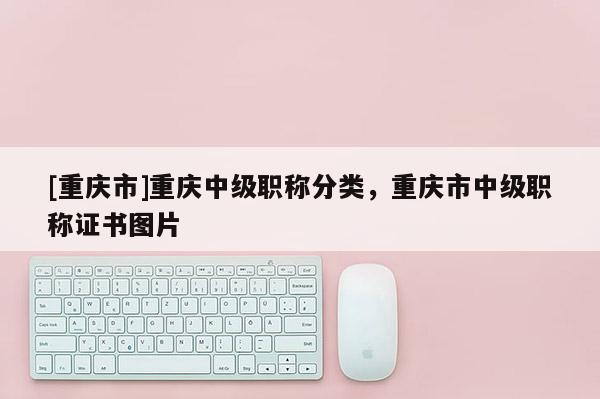 [重慶市]重慶中級職稱分類，重慶市中級職稱證書圖片