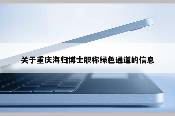 關于重慶海歸博士職稱綠色通道的信息