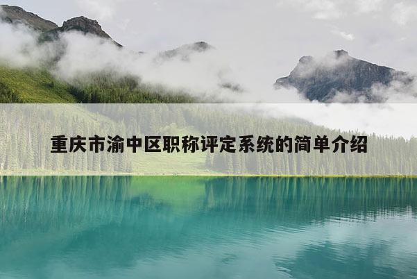 重慶市渝中區職稱評定系統的簡單介紹