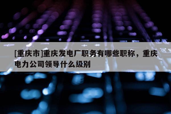 [重慶市]重慶發電廠職務有哪些職稱，重慶電力公司領導什么級別