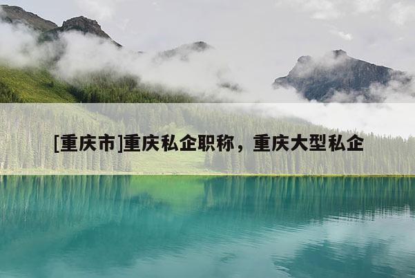 [重慶市]重慶私企職稱，重慶大型私企