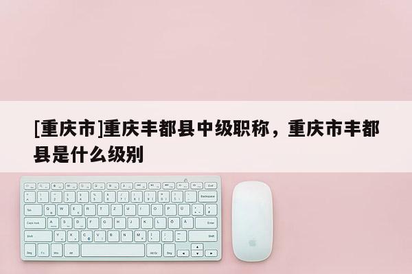 [重慶市]重慶豐都縣中級職稱，重慶市豐都縣是什么級別